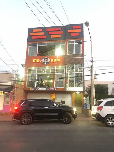 MR. GYM