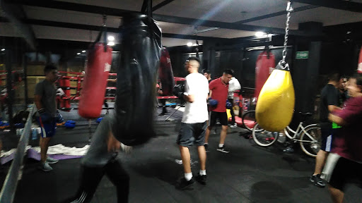 Maldita boxing (Escuela de box).
