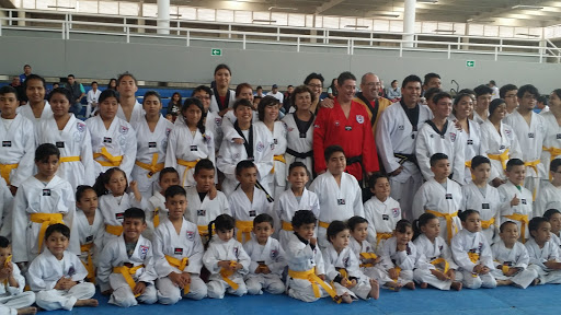 Modulo Deportivo Multidisciplinario San Francisco Del Rincon