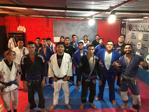 Monster Team Academia de Artes marciales mixtas