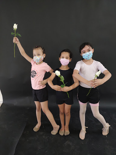 More Dance Academy By Leslie Alanis