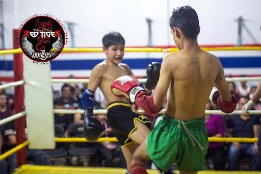 Muay Thai Red Tiger