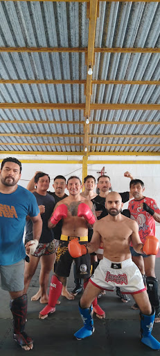 Muay thai absolut