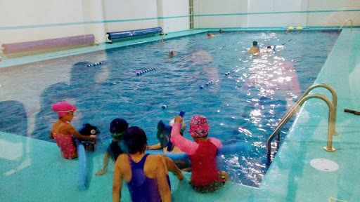 NATACIÓN EN TEZIUTLAN AQUAFITNESS