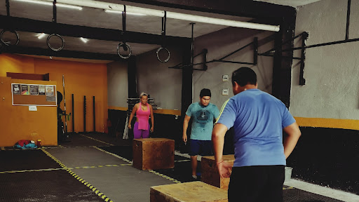 NITRO BOX CROSSTRAINING