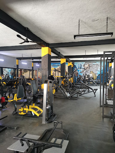 Olimpo Sport Gym