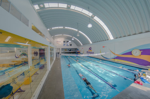 Olimpus Natación Juriquilla