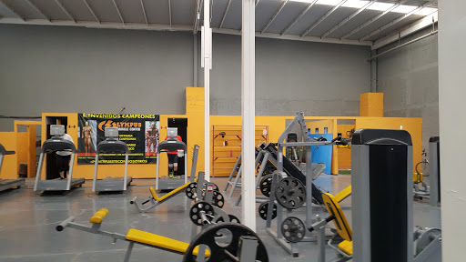 Olympus GYM