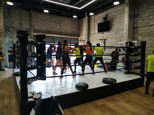 One More Round (Gimnasio de box)