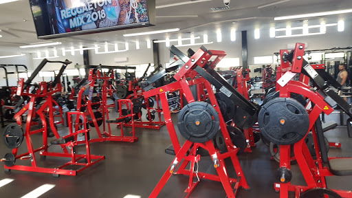Orba Fitness Muscle Designing