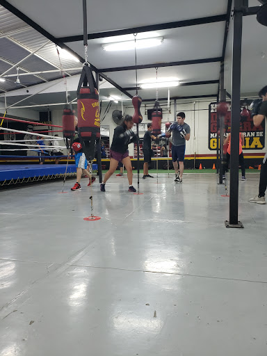 Oscboxing