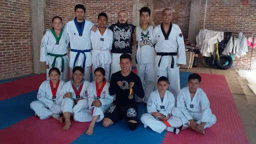 Pitbulls Martial Arts