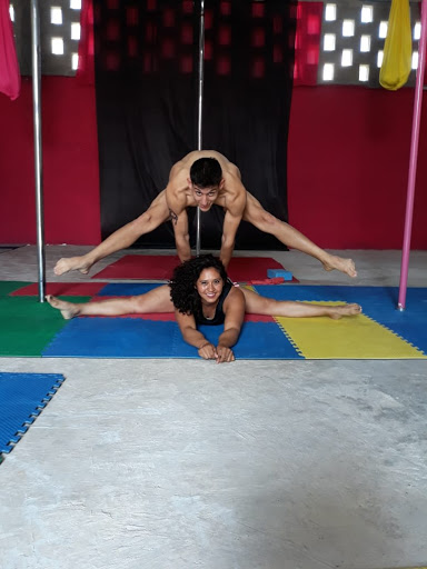 Pole Fitness Tula