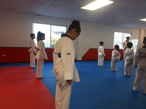 Profighter