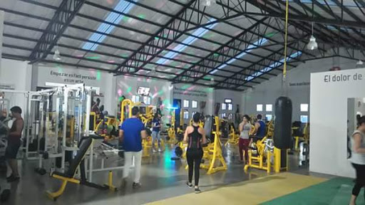 Reality Gym