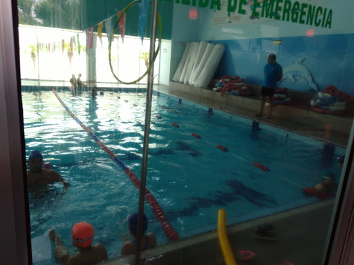 Reef Swim School