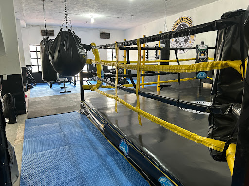 Regios Combat Academy