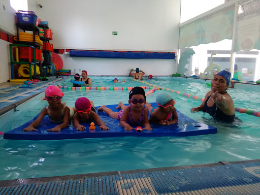 SMARTSWIM QUERETARO