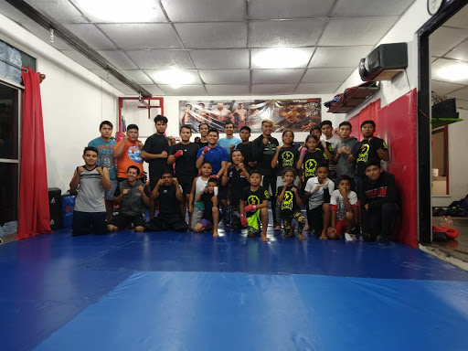 SOL NACIENTE MMA