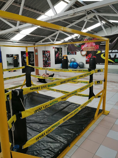 SPORT LIVE BOXING