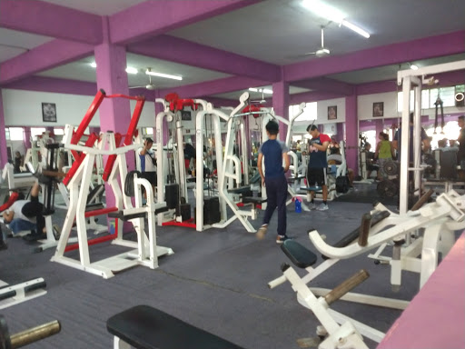 Sport Center Gym