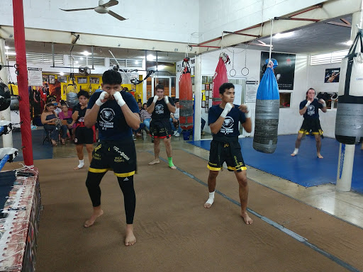 Sport Planet, Artes Marciales Y Boxeo
