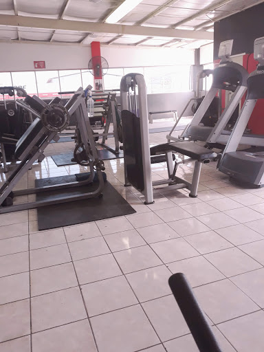 Steel GYM