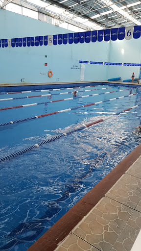 Swim Life Escuela De Natacion en Pachuca