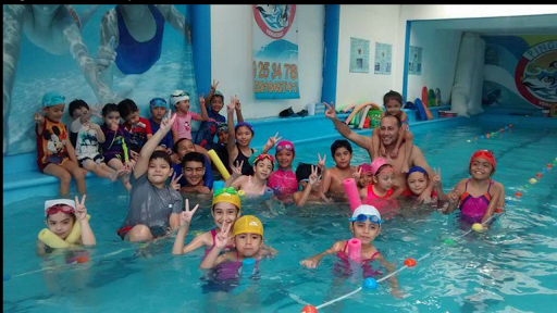 Swimming and Nursery School Penguins