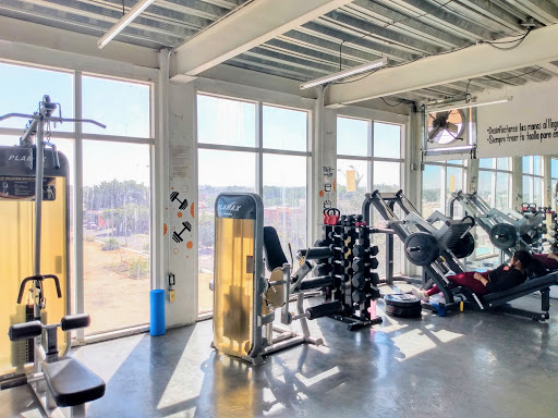 TIGER GYM MMA