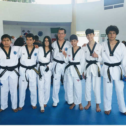 Taekwondo Apizaco Instituto hana Apizaco gimnasio artes marciales