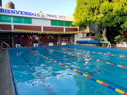 The Dolphin Club Deportivo