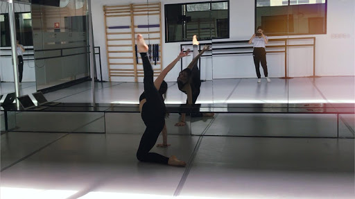 The Movement Dance Project