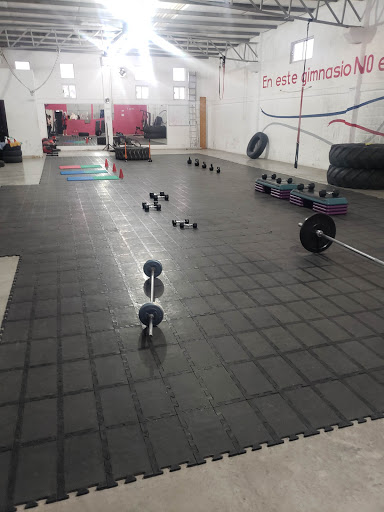 The Rock Gym
