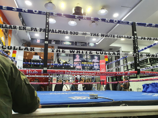 The White Collar Boxing Club