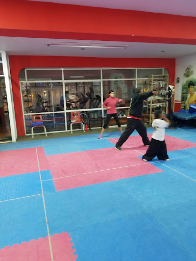 Tigre Negro GYM