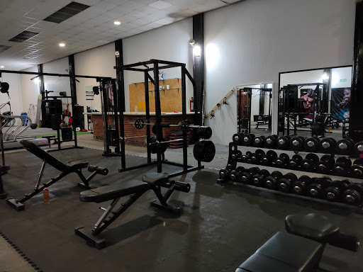 Training Club MM