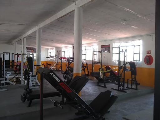 Vicenteño Gym