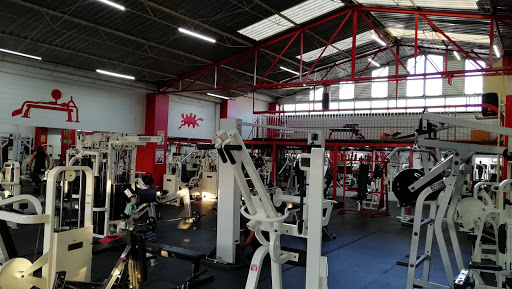Workout Fitness