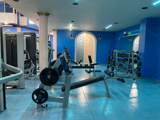 Zeus GYM