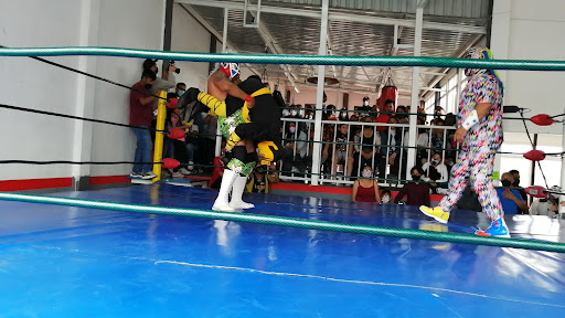 Zeus school gym