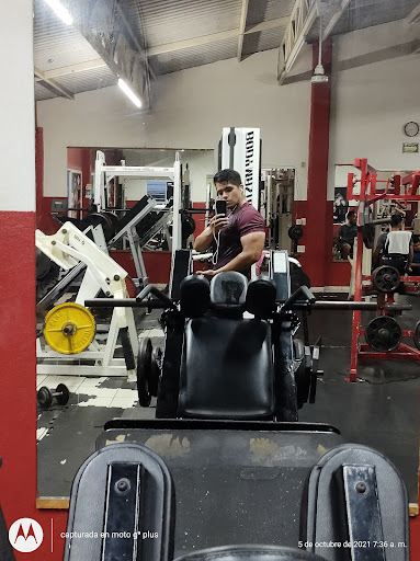 Zona Fitness