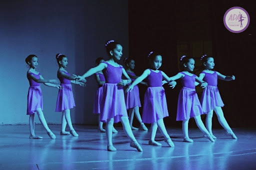dance Academy