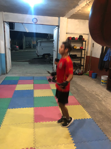 guerreros boxing (escuela de boxeo)